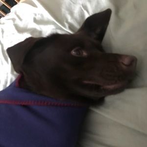 Meet your Posher, Hannah